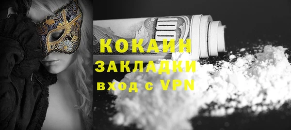 стафф Арсеньев