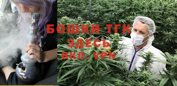 стафф Арсеньев