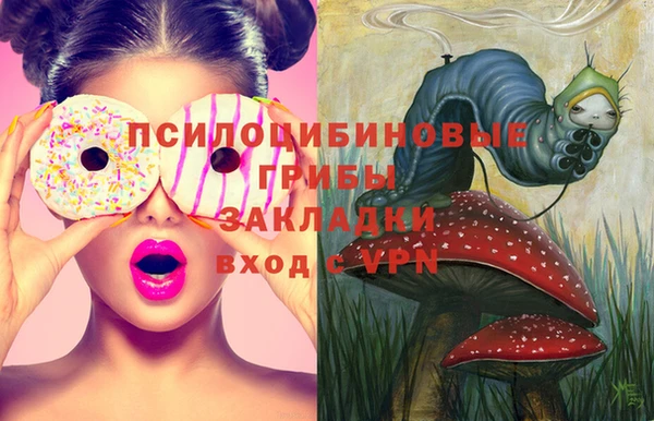 крисы Рославль