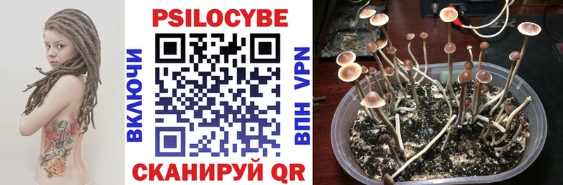 Псилоцибиновые грибы ЛСД  Кирово-Чепецк 