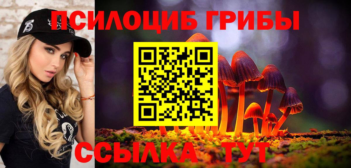 Галлюциногенные грибы прущие грибы Кирово-Чепецк